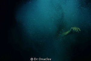 Went for a dive on Lizard to capture some sea slugs. I to... by Dr Onaclov 